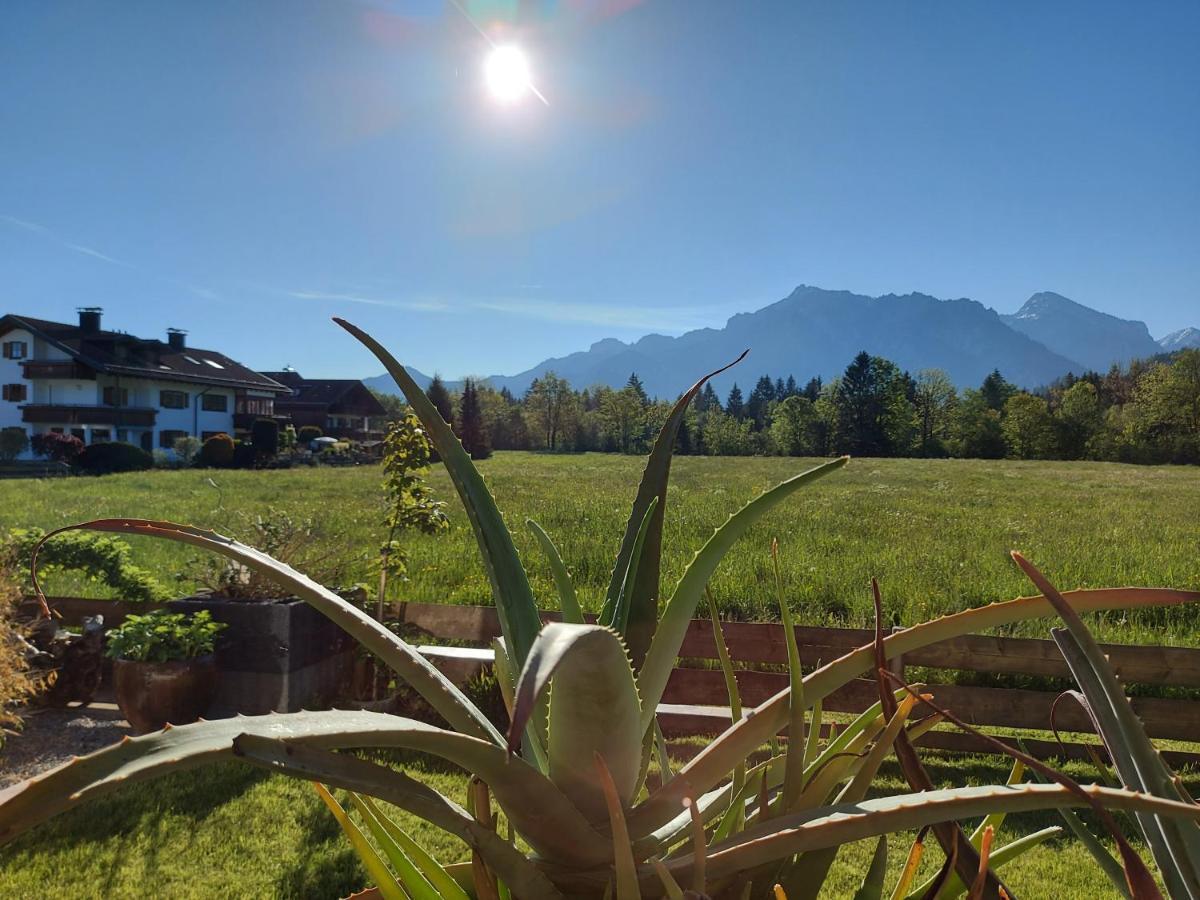 Ferienwohnung Herzstueck Im Haus Schlossblick 福森 外观 照片
